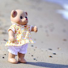 Печенькина прогулка