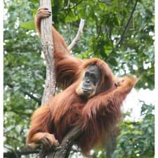 Здравствуйте! Меня зовут Мария, и я хансоман! Часть 2