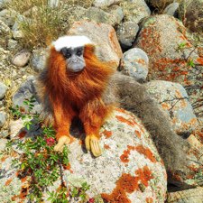 А я всё хансоманю потихоньку.часть 1