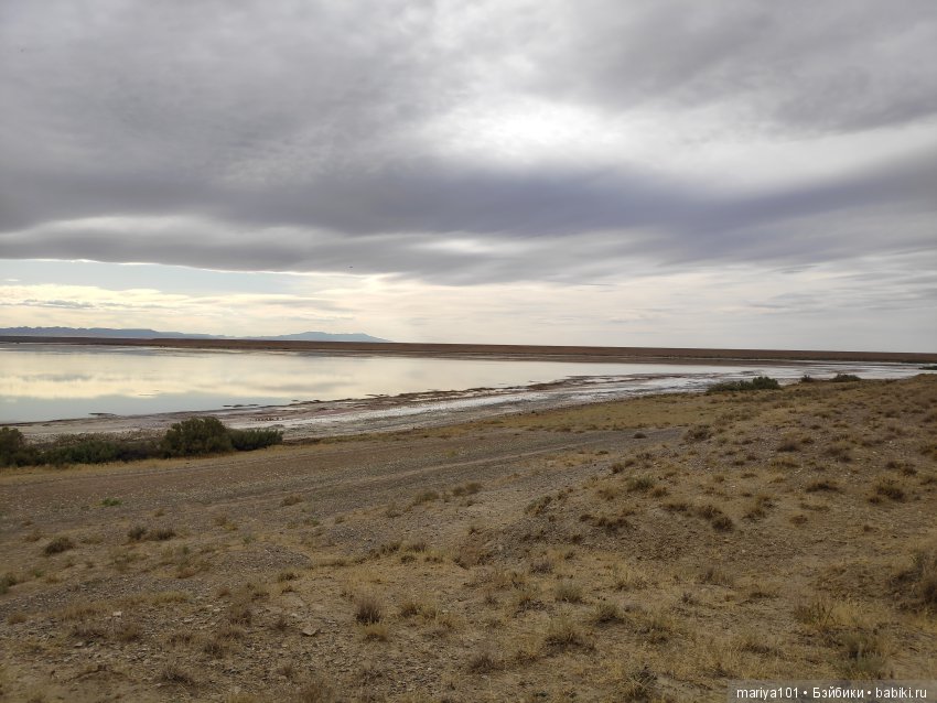 Крик черепахи, или путешествие в город-призрак. Часть 2