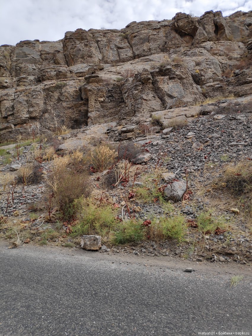 Крик черепахи, или путешествие в город-призрак. Часть 1 (фото 5)