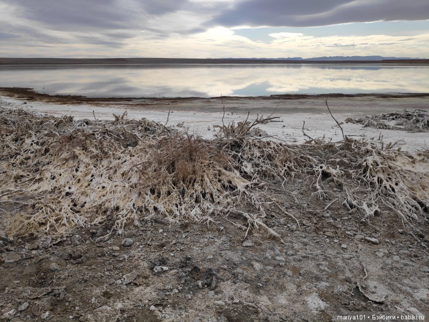Крик черепахи, или путешествие в город-призрак. Часть 2