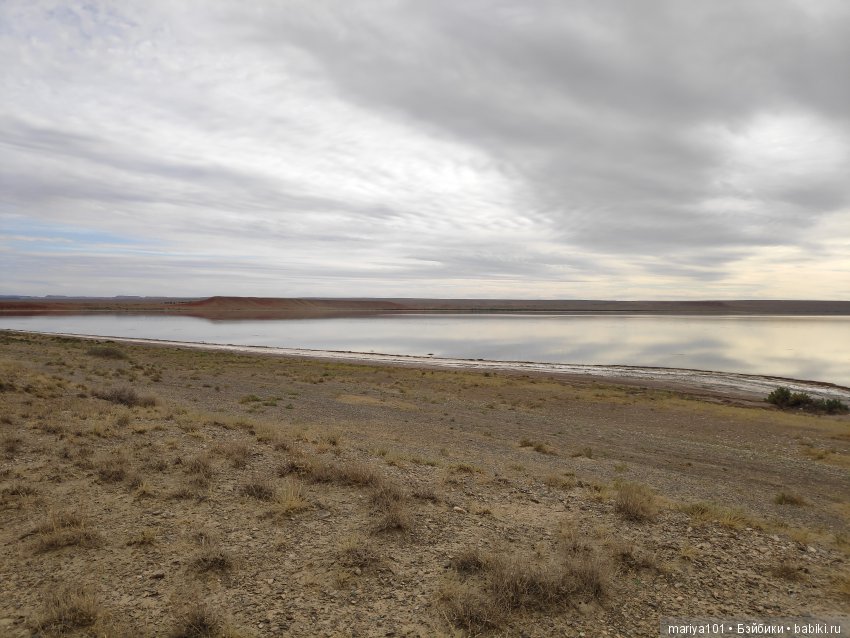 Крик черепахи, или путешествие в город-призрак. Часть 2