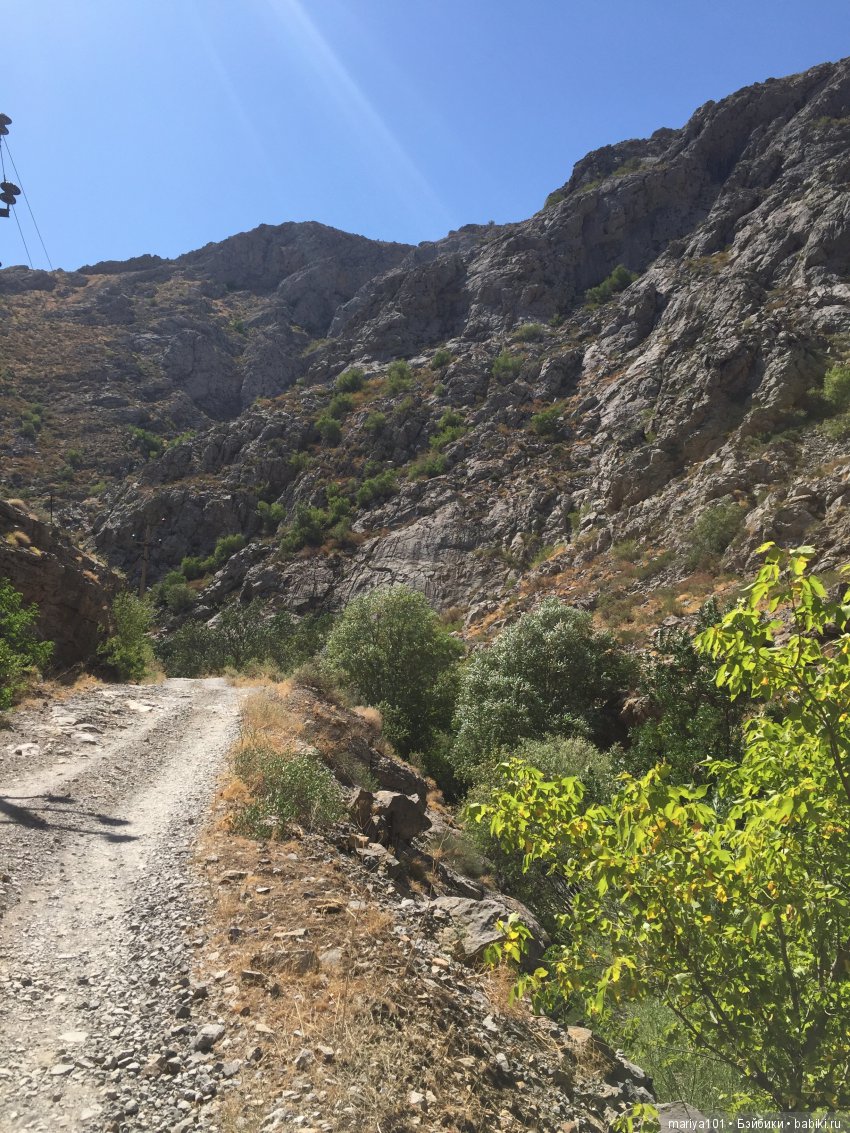 Крик черепахи, или путешествие в город-призрак. Часть 1