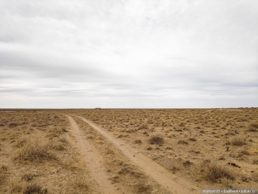 Крик черепахи, или путешествие в город-призрак. Часть 2