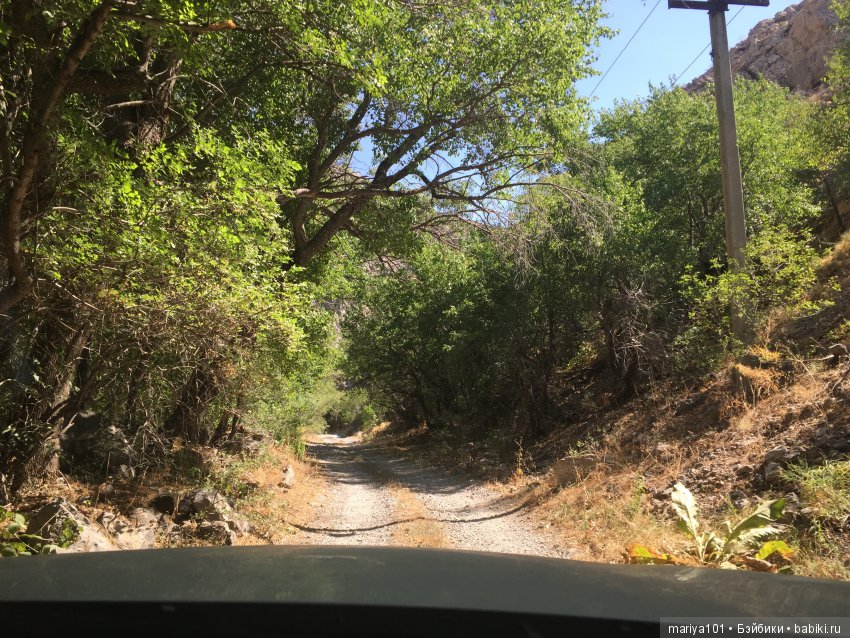 Крик черепахи, или путешествие в город-призрак. Часть 1