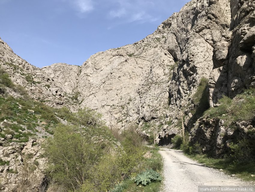 Крик черепахи, или путешествие в город-призрак. Часть 1