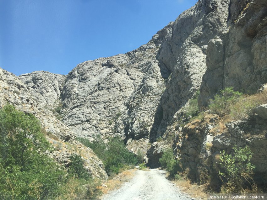 Крик черепахи, или путешествие в город-призрак. Часть 1