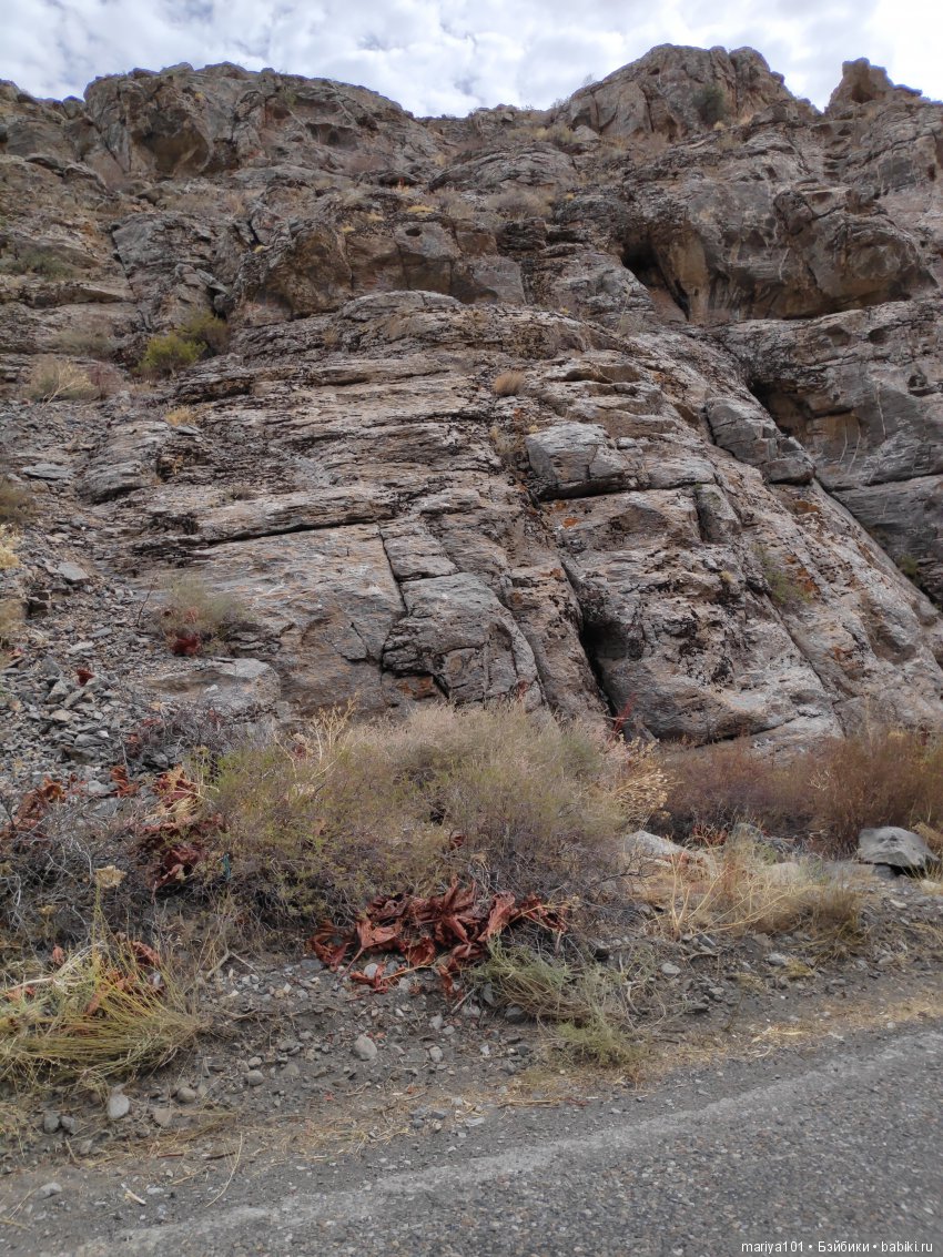 Крик черепахи, или путешествие в город-призрак. Часть 1 (фото 3)