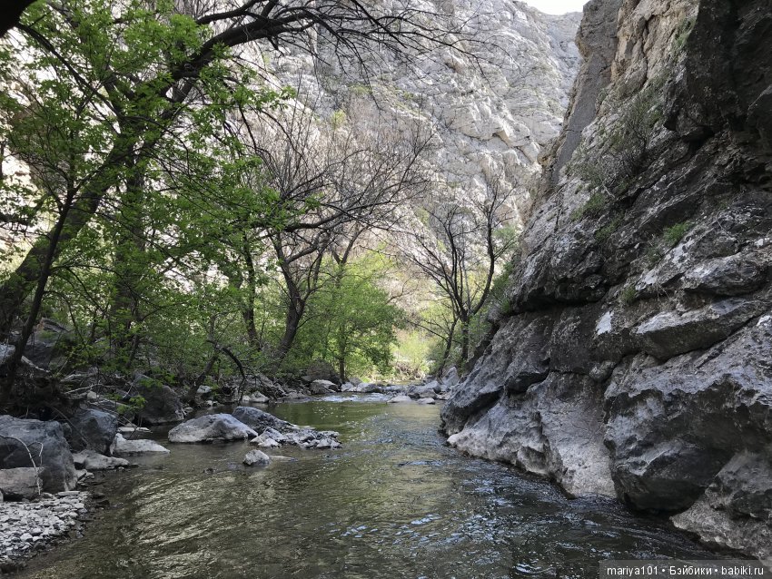 Крик черепахи, или путешествие в город-призрак. Часть 1