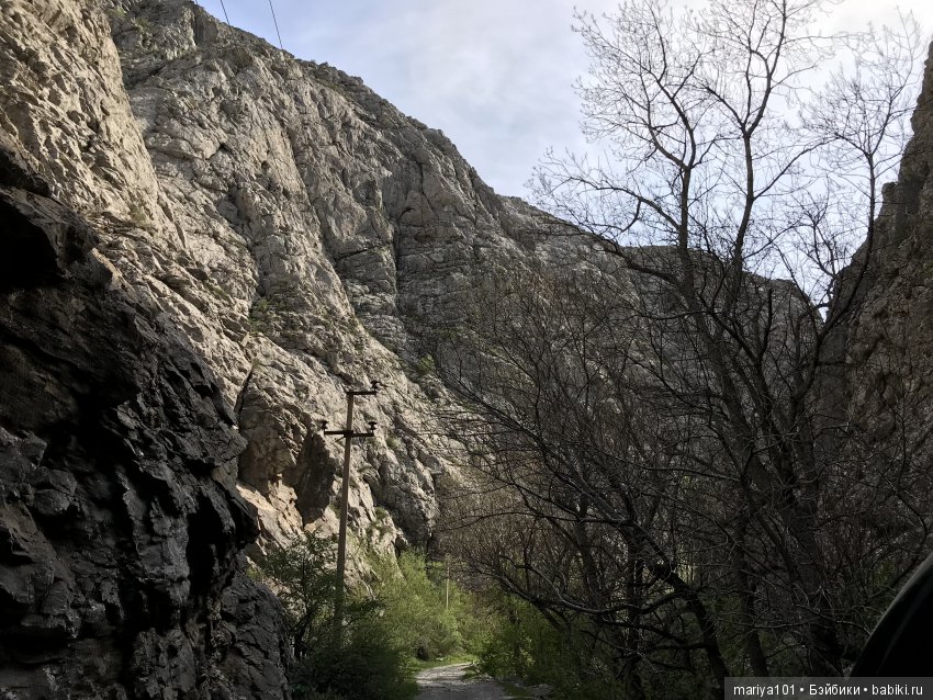 Крик черепахи, или путешествие в город-призрак. Часть 1