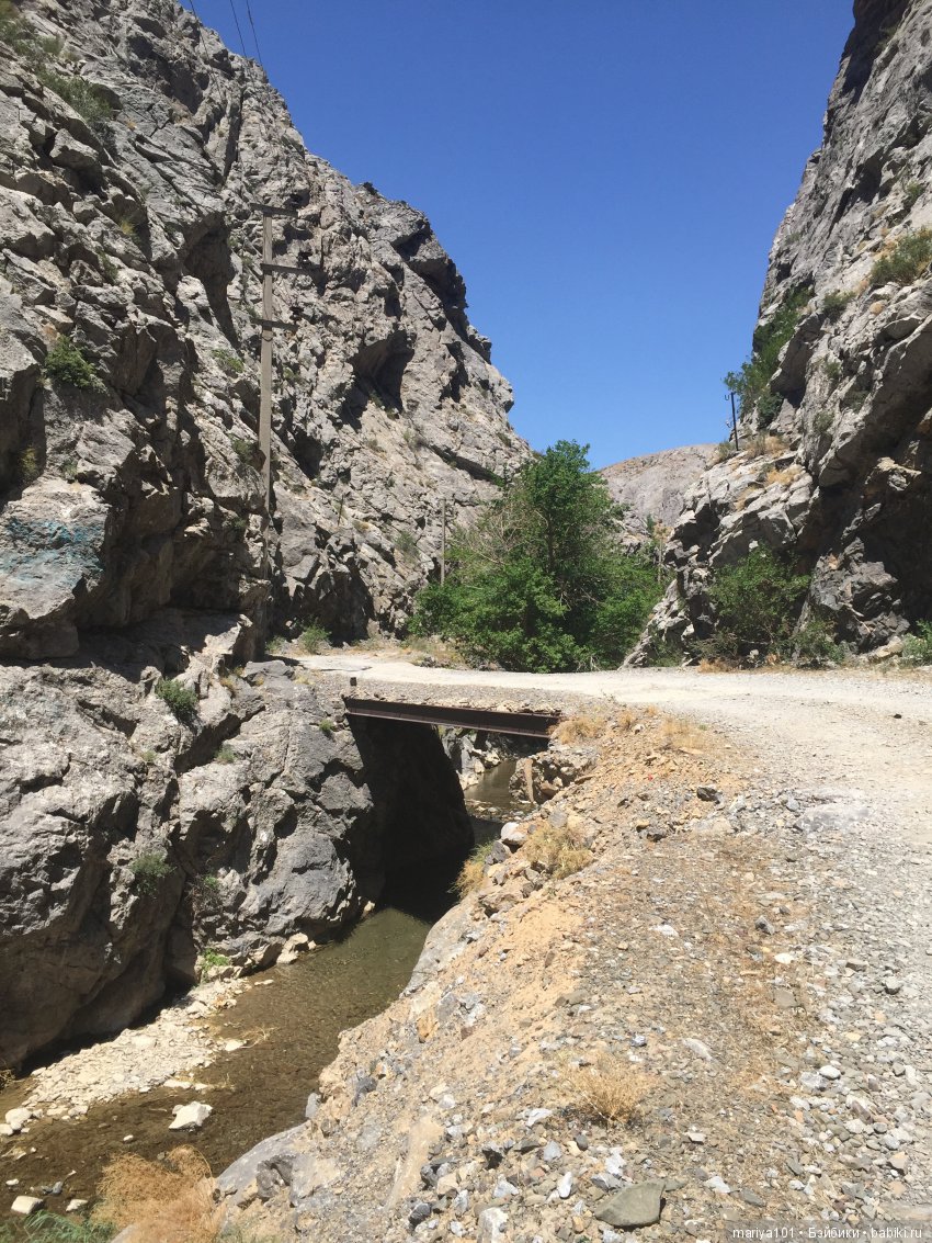 Крик черепахи, или путешествие в город-призрак. Часть 1