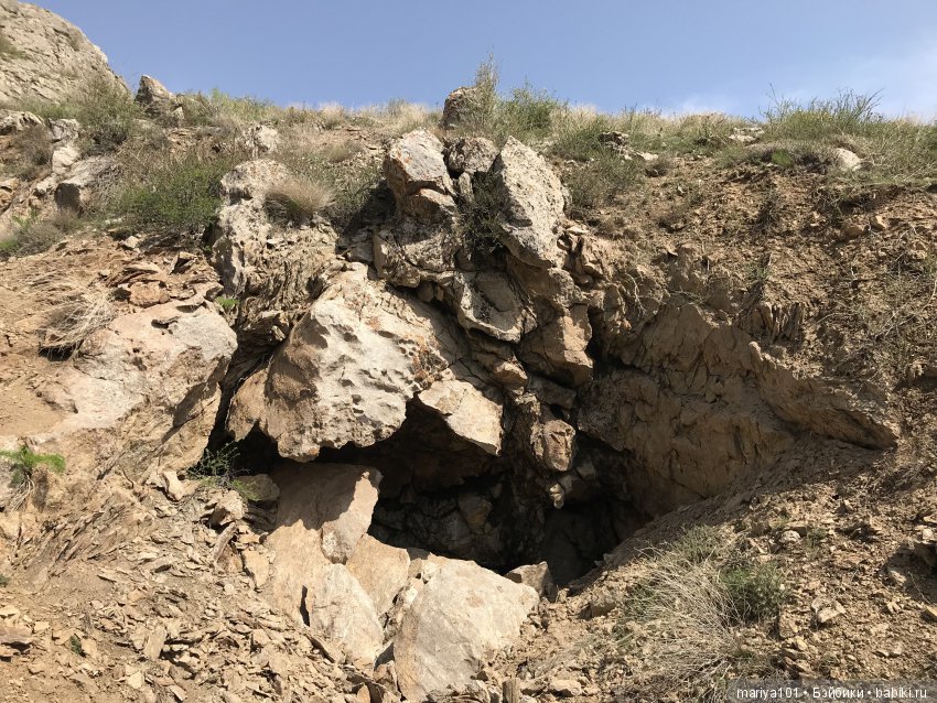 Крик черепахи, или путешествие в город-призрак. Часть 1