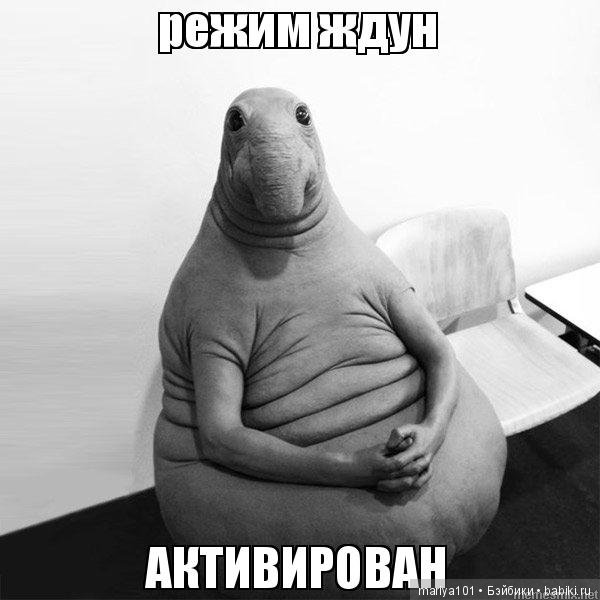 А чем вы кормите своего Ждуна