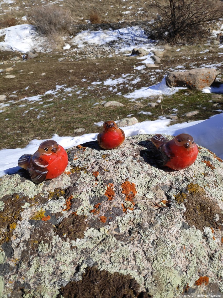 Моя несбывшаяся мечта — Интересные игрушки и фигурки (разное): редкие