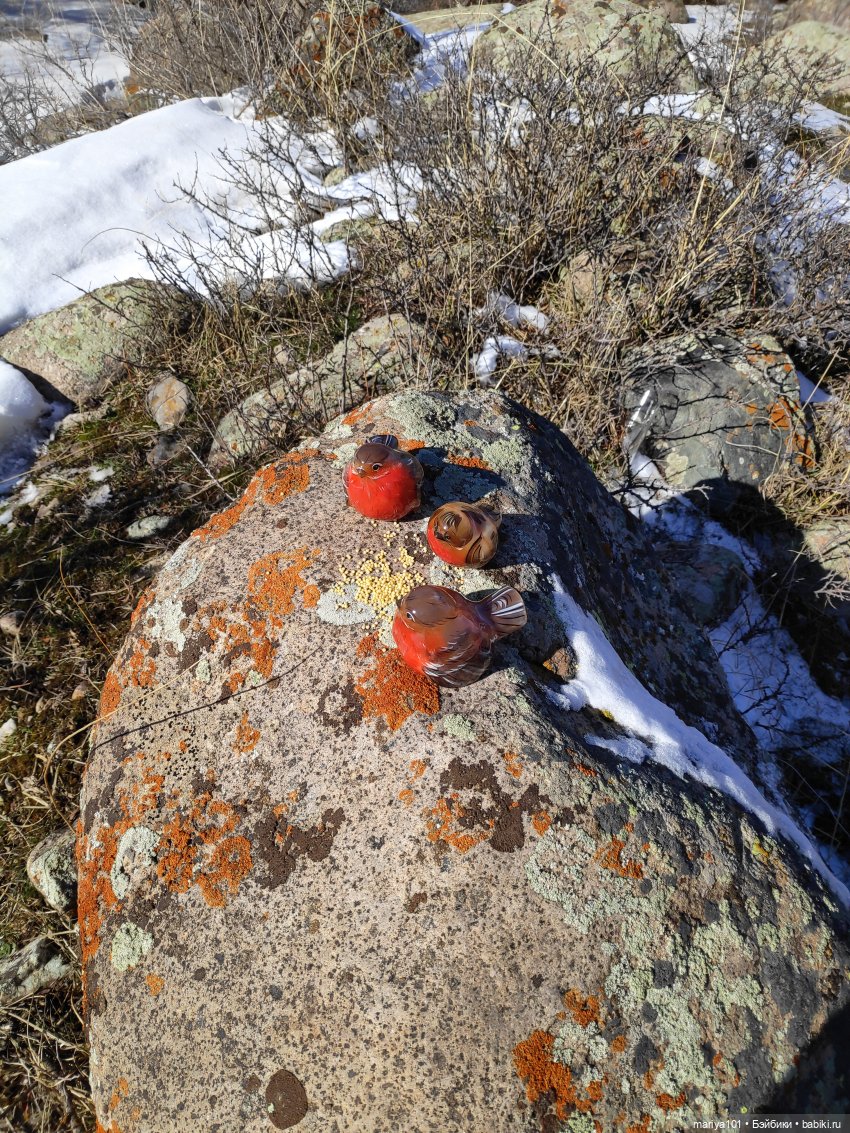 Моя несбывшаяся мечта — Интересные игрушки и фигурки (разное): редкие