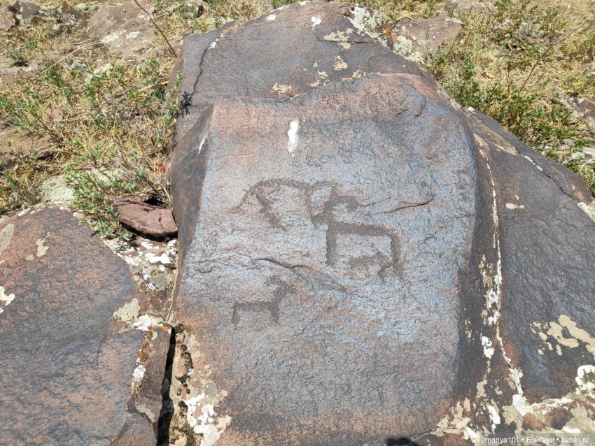 Девочка и волк — Куклы Nines d'Onil (Нинес): Миа (Mia)