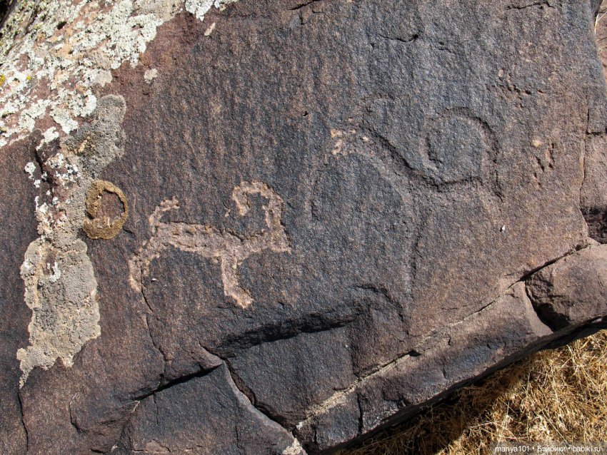 Девочка и волк — Куклы Nines d'Onil (Нинес): Миа (Mia)