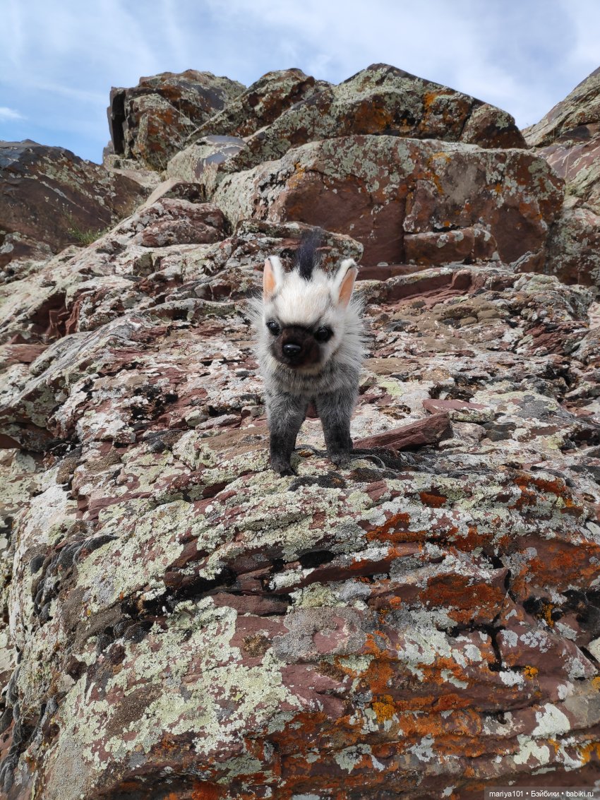 Девочка и волк — Куклы Nines d'Onil (Нинес): Миа (Mia)