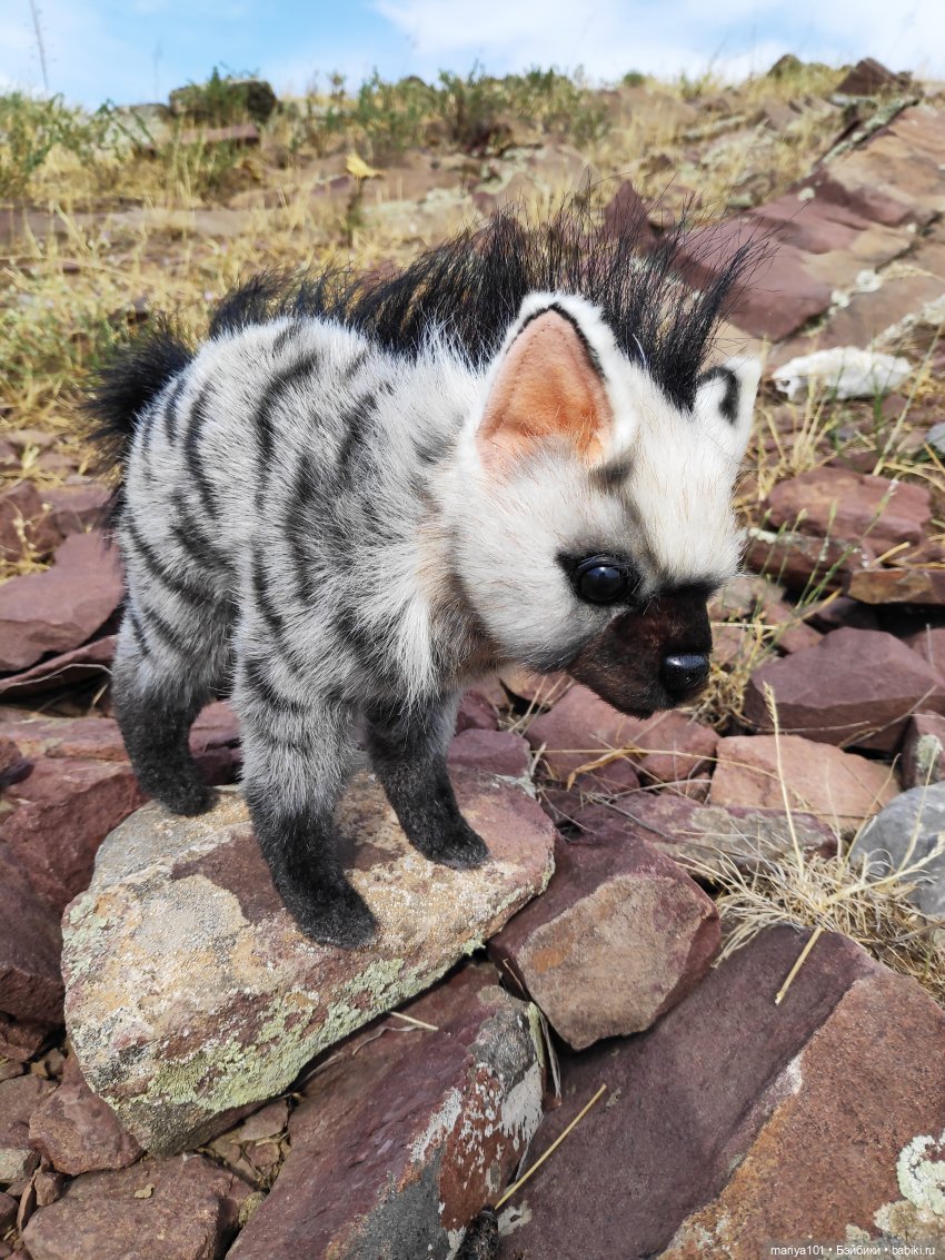 Девочка и волк — Куклы Nines d'Onil (Нинес): Миа (Mia)