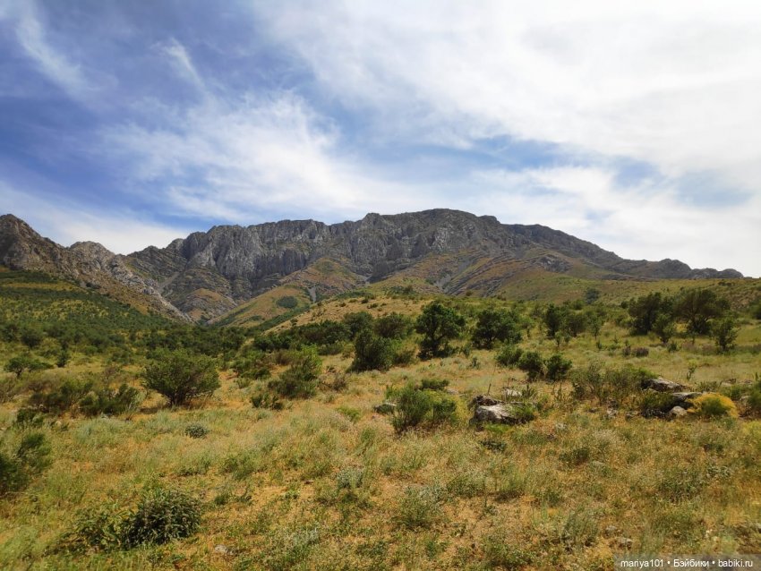 Девочка и волк — Куклы Nines d'Onil (Нинес): Миа (Mia)