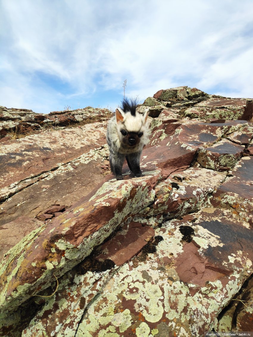 Девочка и волк — Куклы Nines d'Onil (Нинес): Миа (Mia)