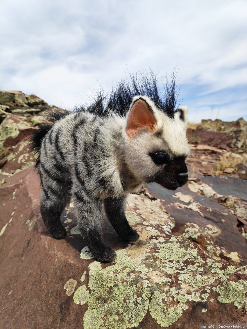 Девочка и волк — Куклы Nines d'Onil (Нинес): Миа (Mia)