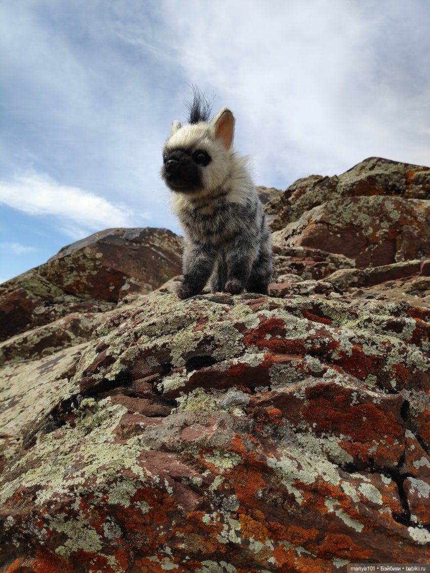 Девочка и волк — Куклы Nines d'Onil (Нинес): Миа (Mia)