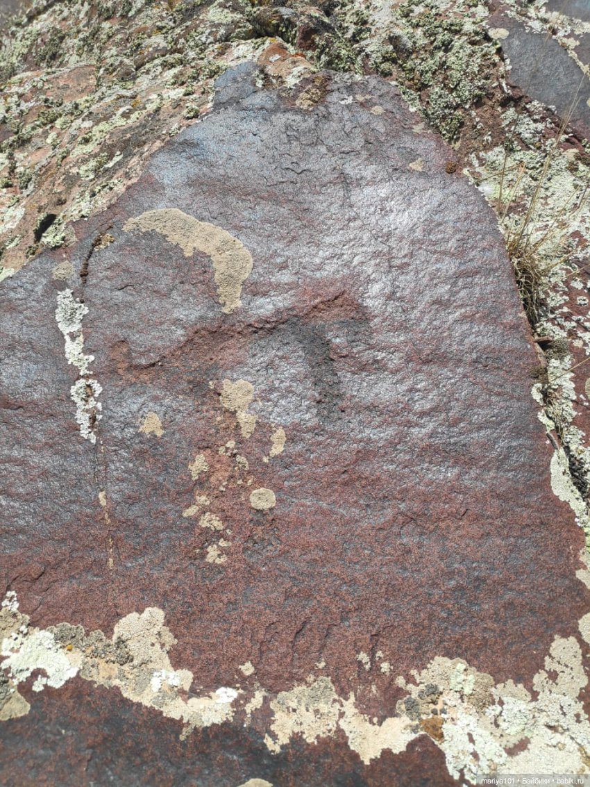 Девочка и волк — Куклы Nines d'Onil (Нинес): Миа (Mia)