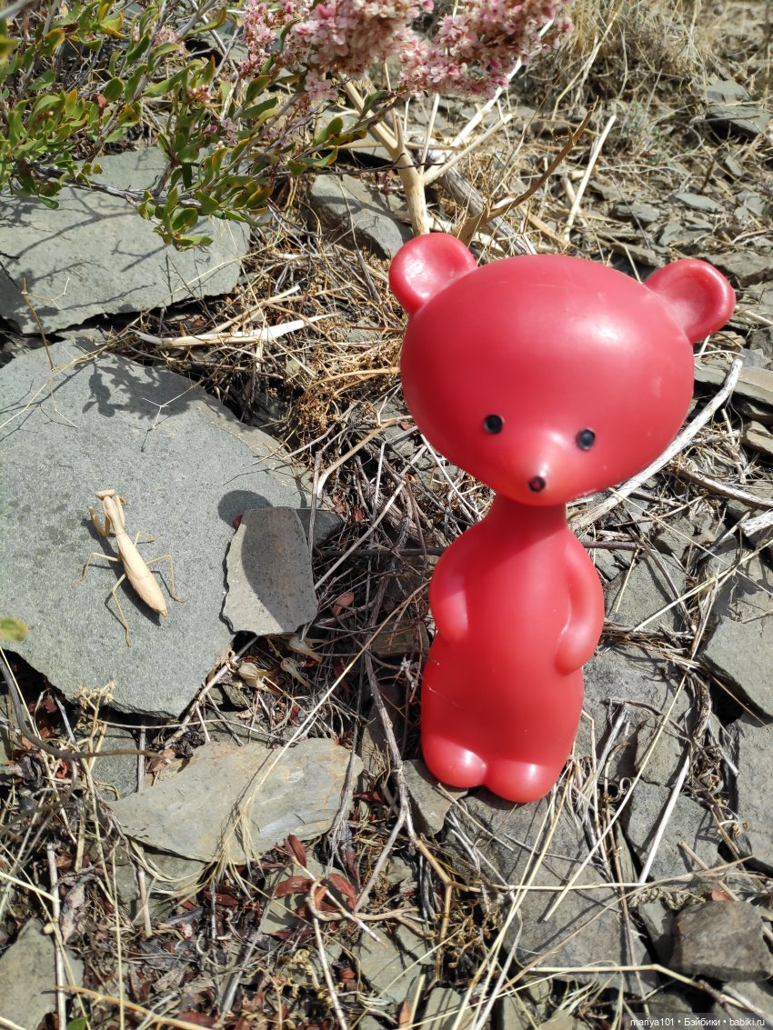 Тепло и радость дарящие...Часть 2