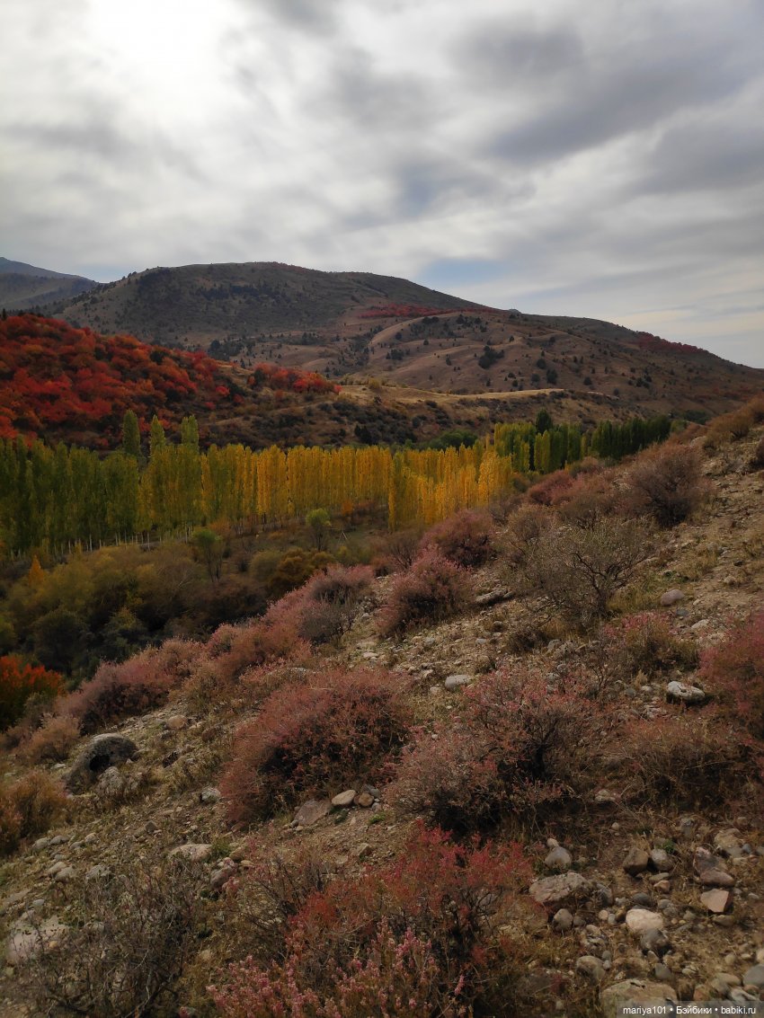 Семь таблеток фанкомицина от осенней хандры