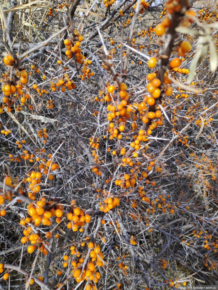 Семь таблеток фанкомицина от осенней хандры