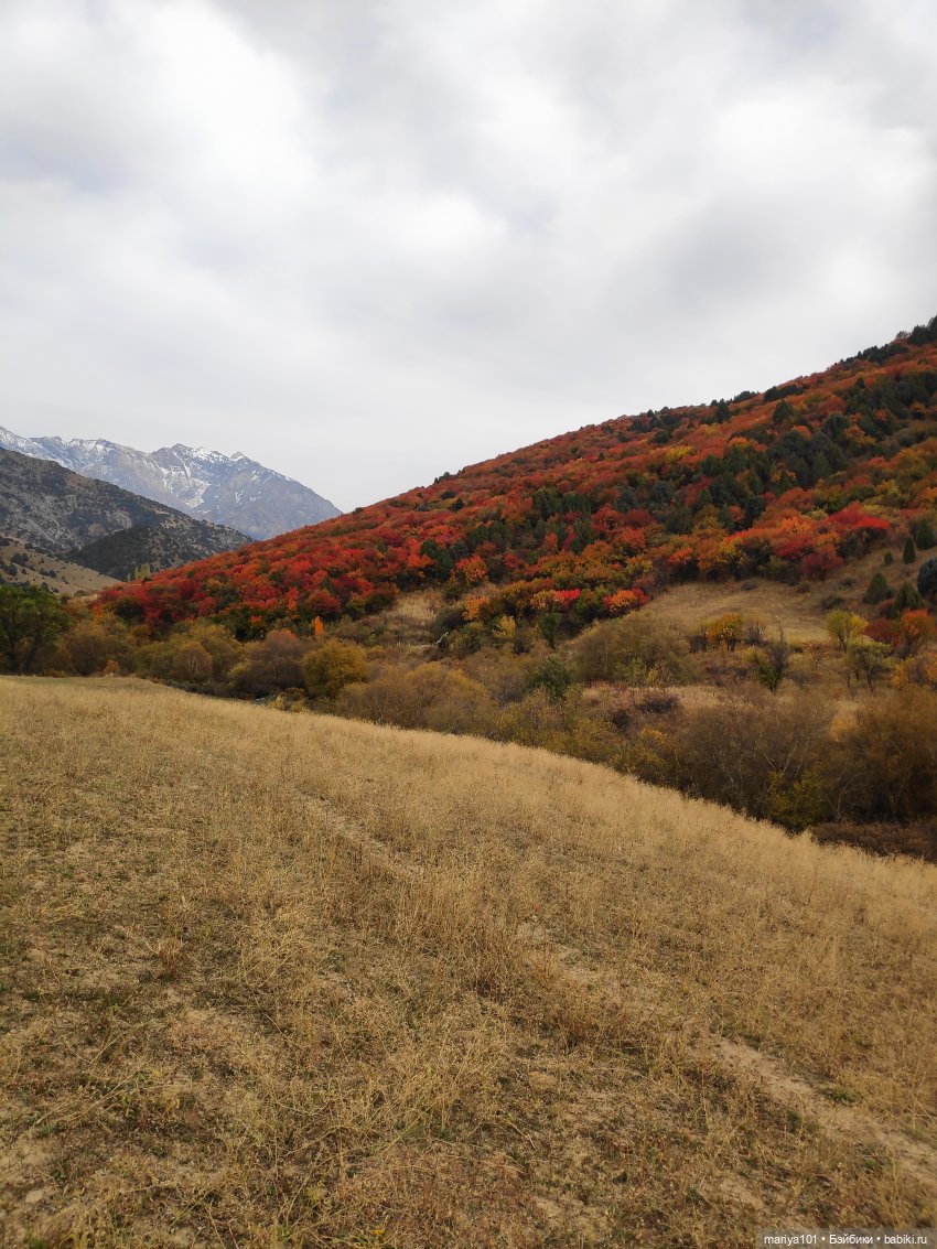 Семь таблеток фанкомицина от осенней хандры