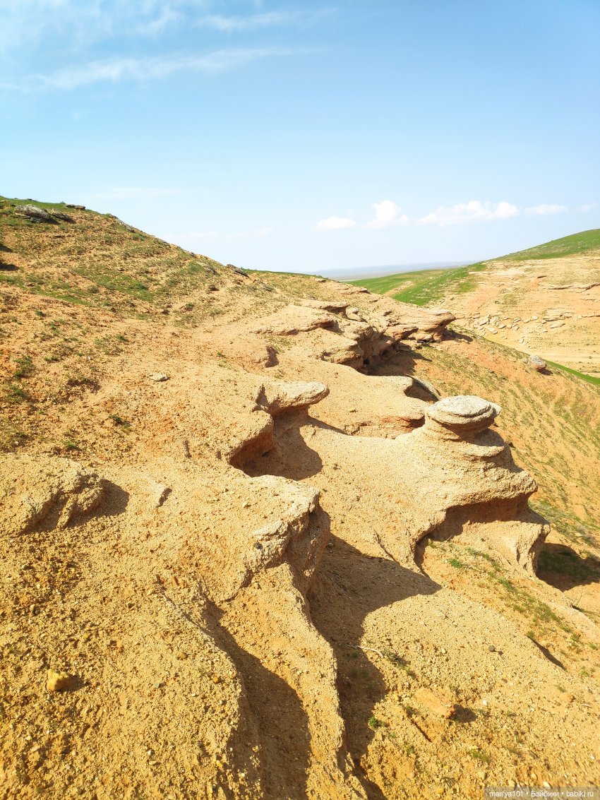 Маленькая Африка для маленького Уилла