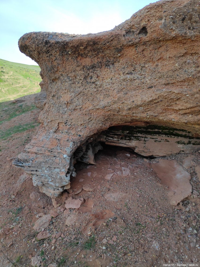 Маленькая Африка для маленького Уилла