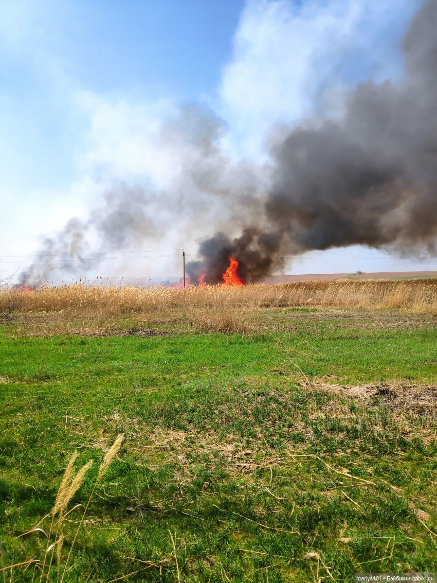 Маленькая Африка для маленького Уилла (фото 10)