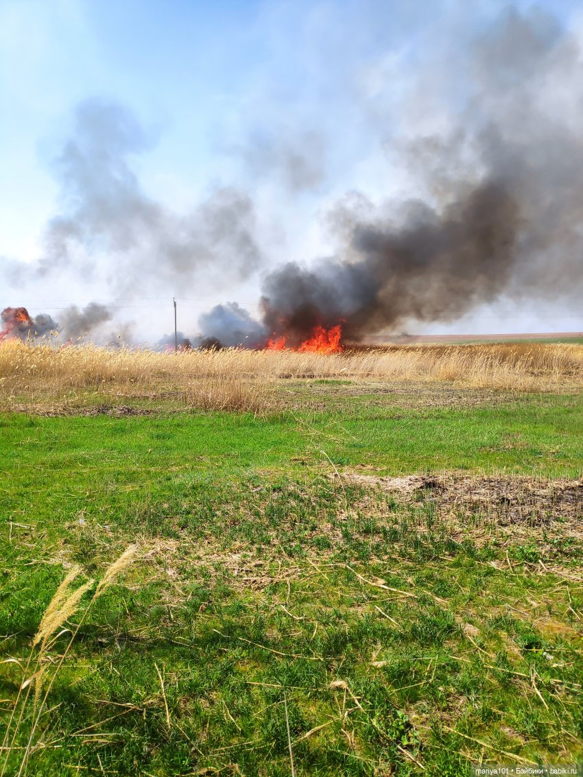 Маленькая Африка для маленького Уилла (фото 9)