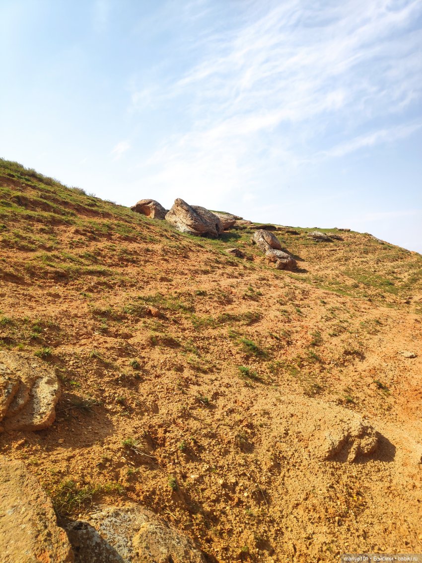 Маленькая Африка для маленького Уилла