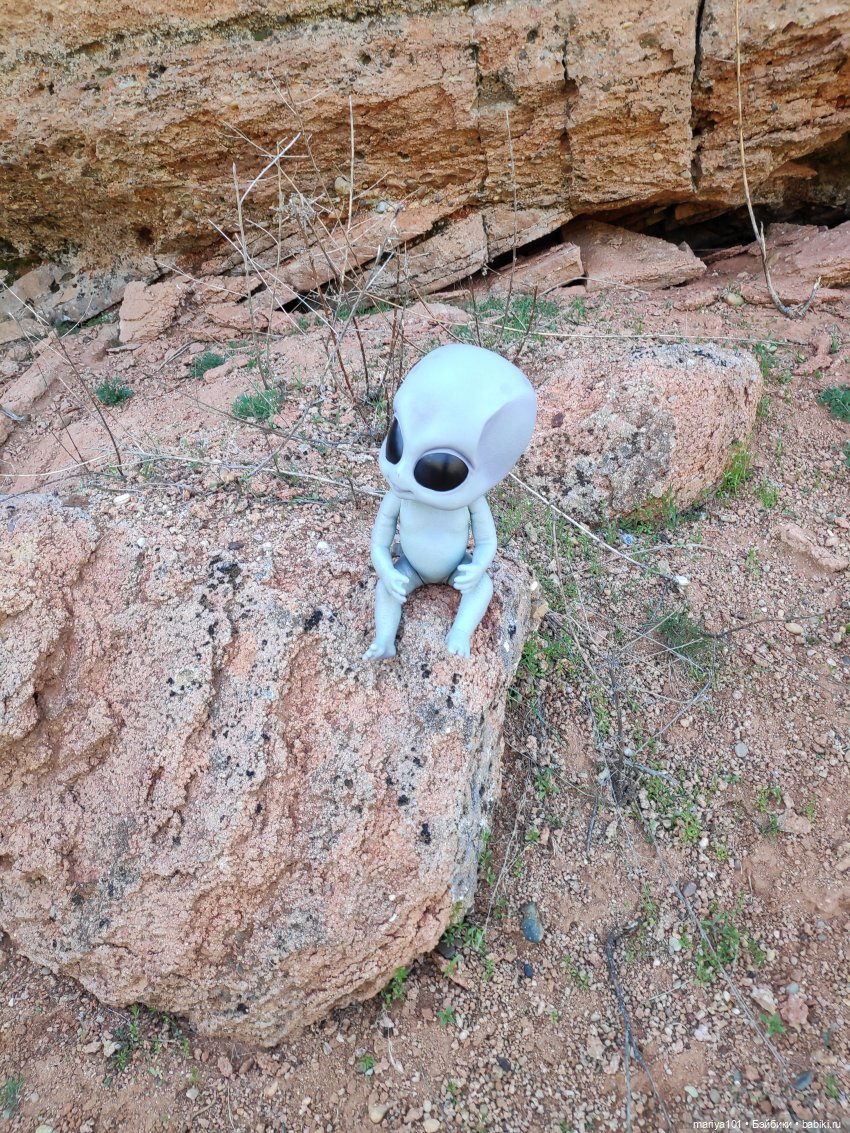 Маленькая Африка для маленького Уилла