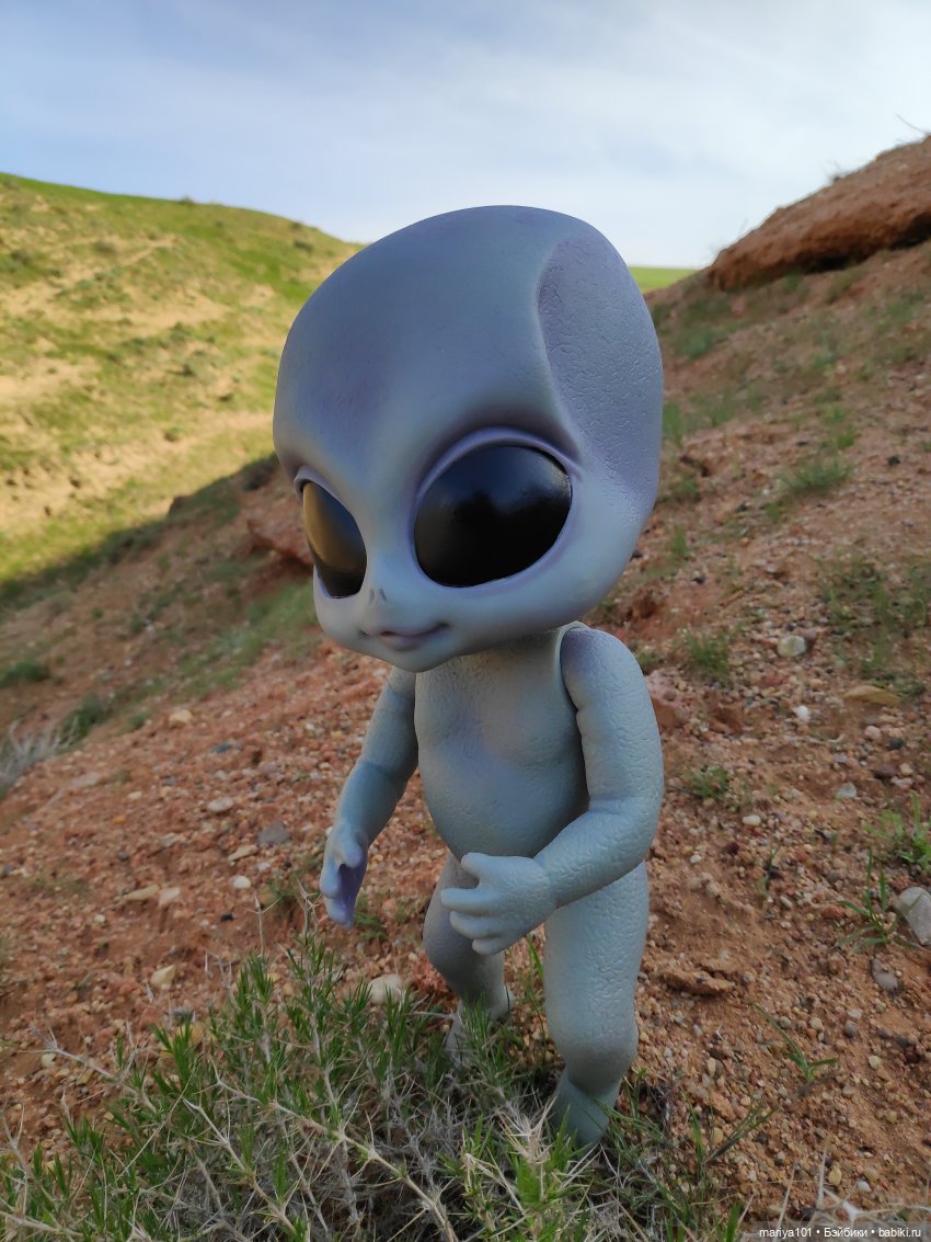 Маленькая Африка для маленького Уилла