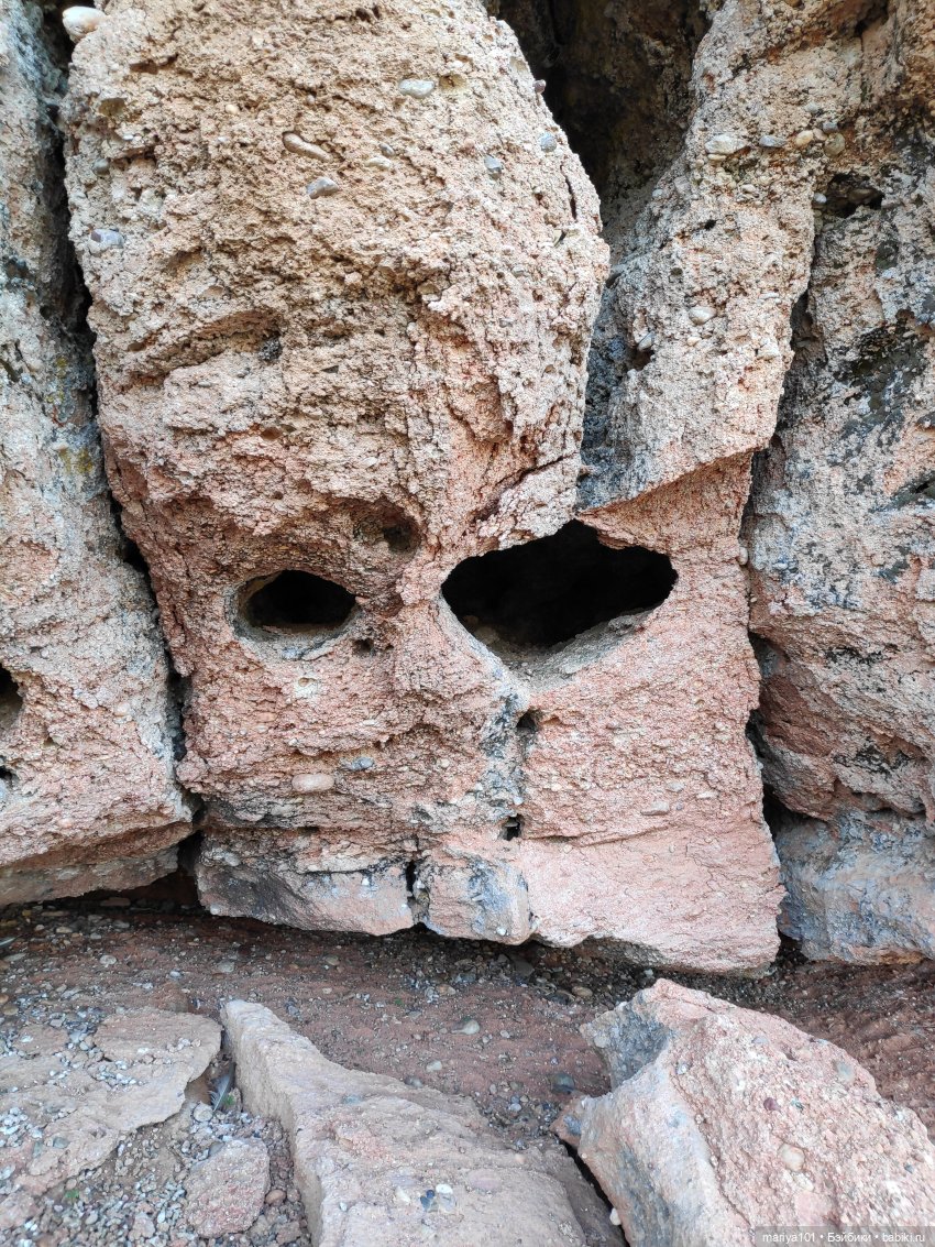 Маленькая Африка для маленького Уилла