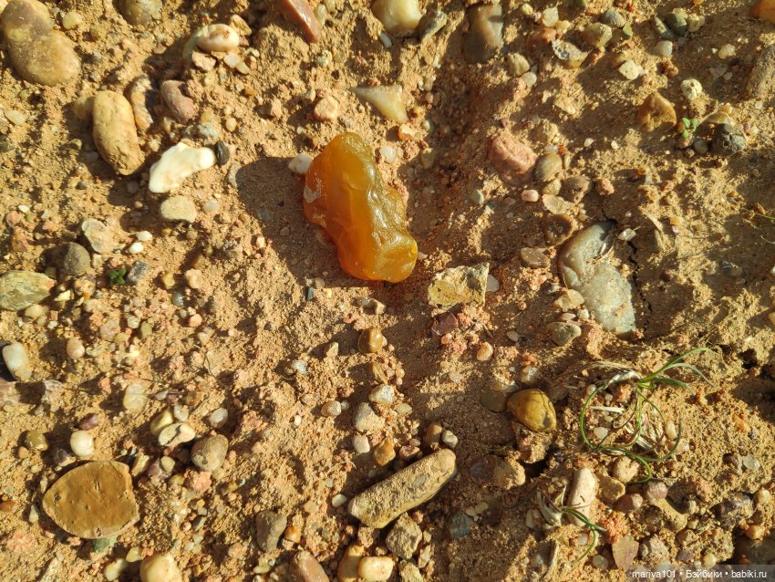 Маленькая Африка для маленького Уилла