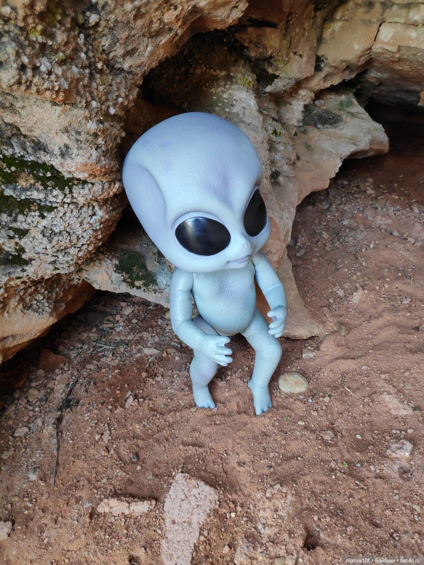 Маленькая Африка для маленького Уилла