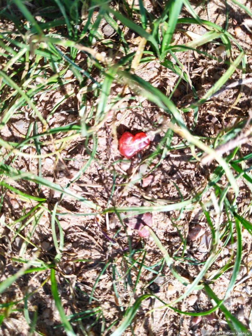 Маленькая Африка для маленького Уилла