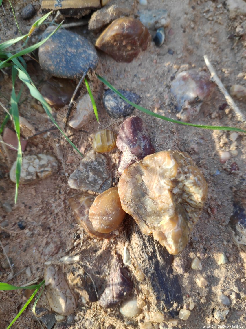 Маленькая Африка для маленького Уилла