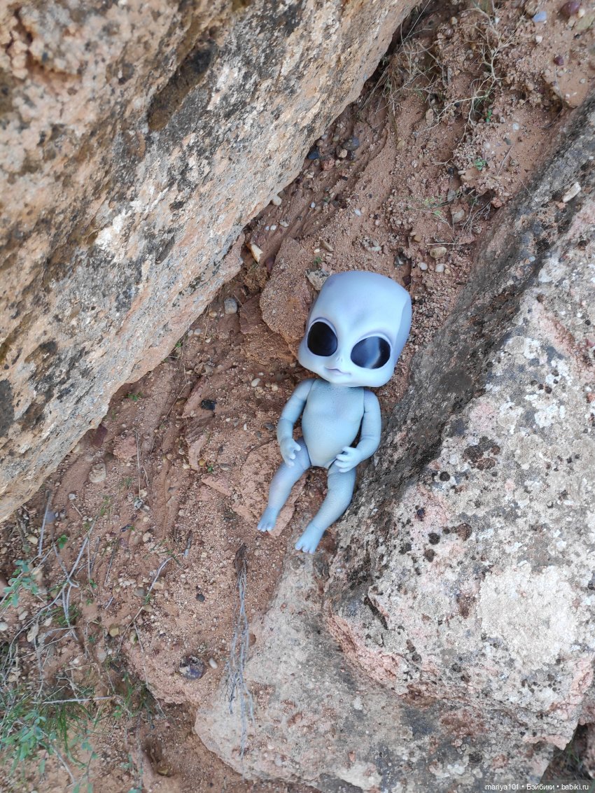 Маленькая Африка для маленького Уилла