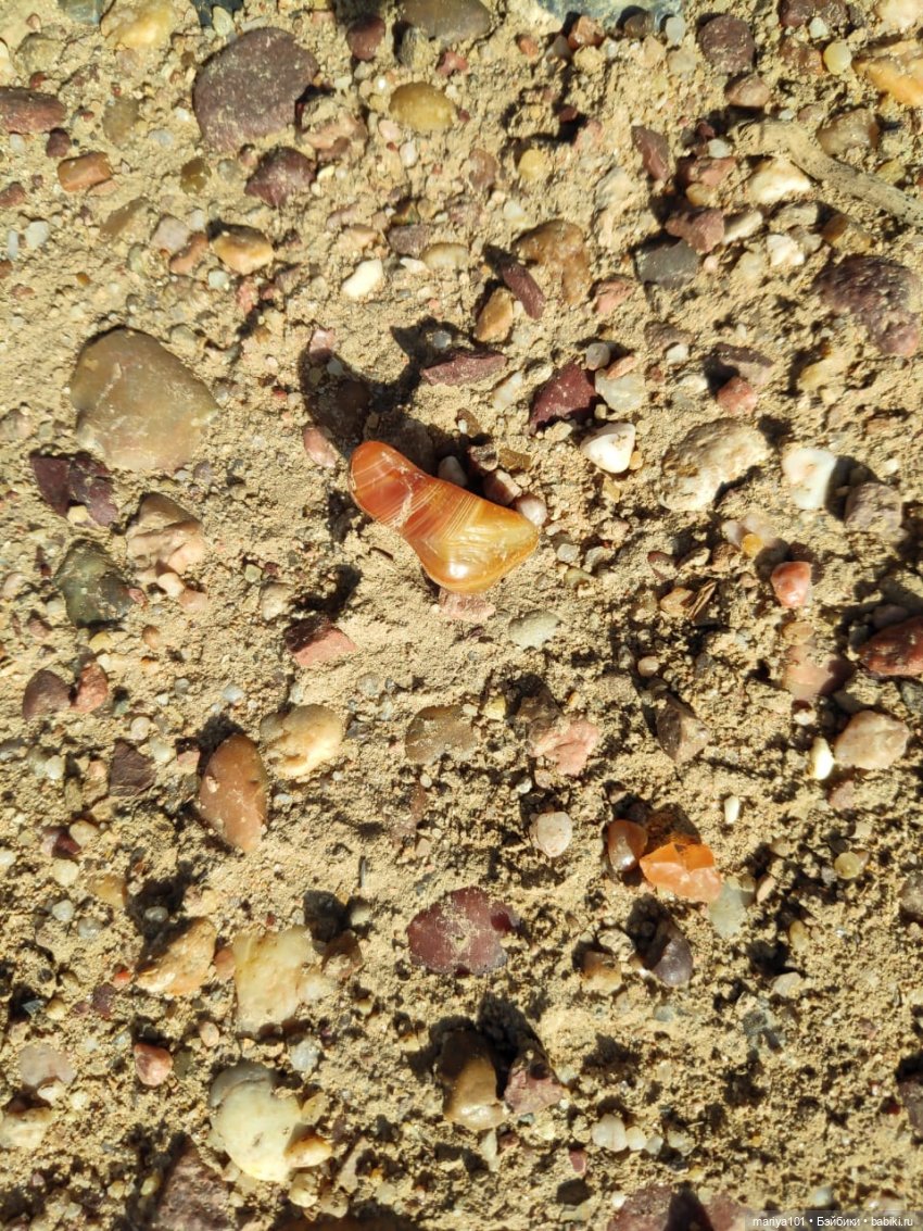 Маленькая Африка для маленького Уилла