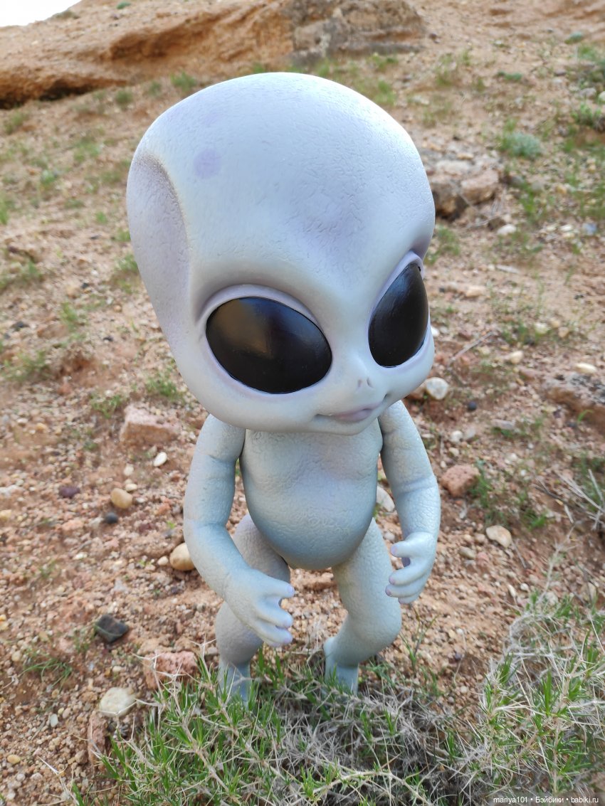 Маленькая Африка для маленького Уилла