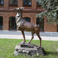 Здравствуй, Беларусь! Знакомство с Полоцком. Часть 2