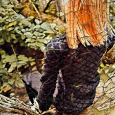 Простенькая программа для редактирования фото на телефоне